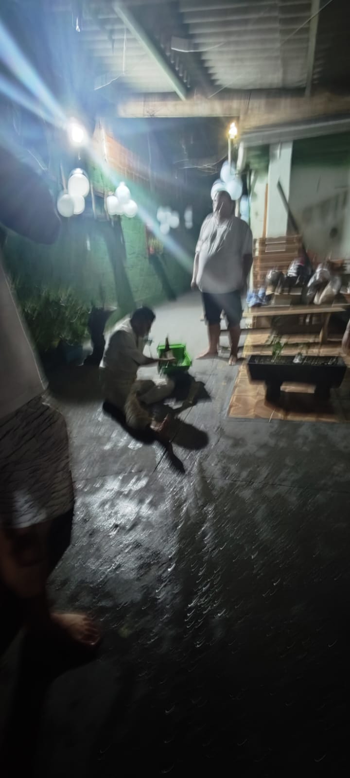 Festa de Cosme e Damião
